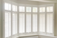 FBC32554-CEB0-401A-AED7-069D261647F0-scaled